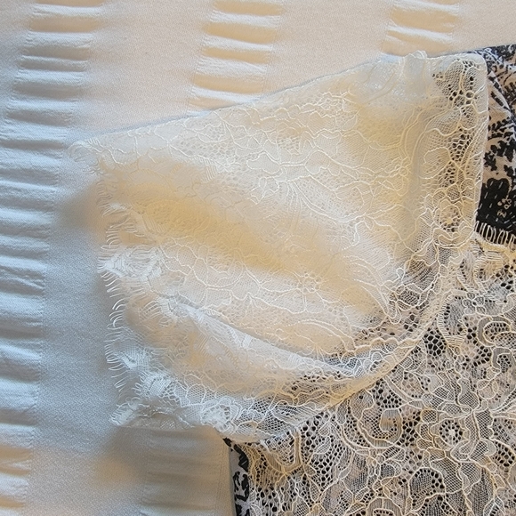 Cleo Petites Lace/Ombre Shirt - Picture 2 of 6